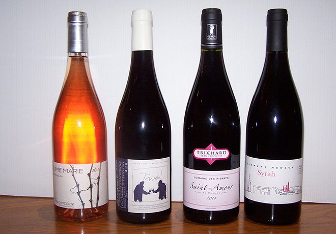 Sélection de vins rouges, rosés et de vins blancs