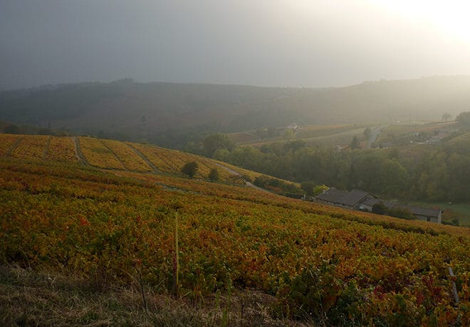 Visite Beaujolais